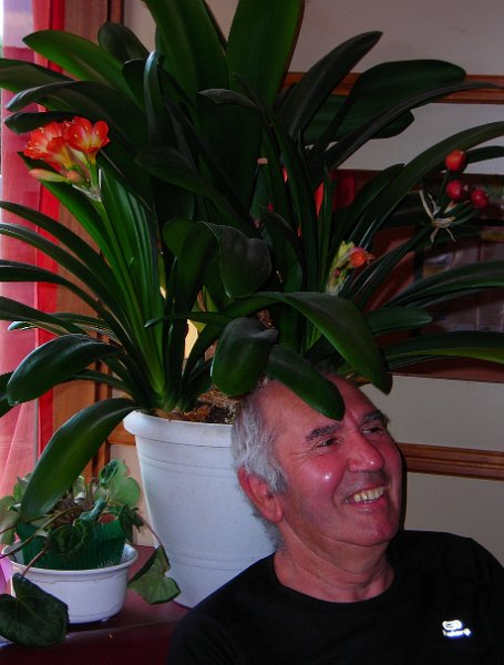 2010-06-24 29 Guiscriff Beau specimen de plante arrose a la biere.JPG